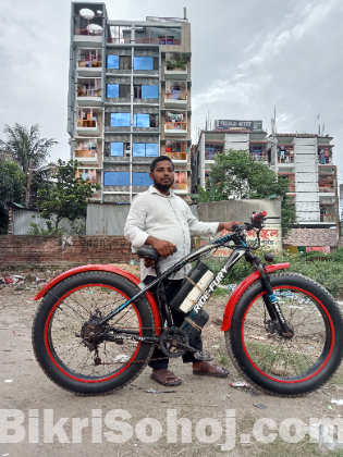 Electric fat bike