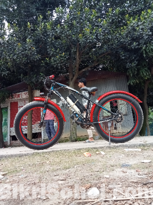 Electric fat bike