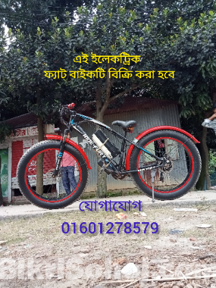 Electric fat bike