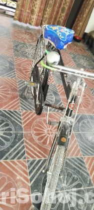 একটি হিরো জেট গোল্ড অরজিনাল ইন্ডিয়ান সাইকেল বিক্রি হবে