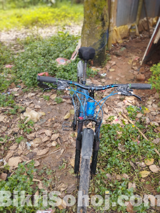 বাইসাইকেল