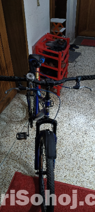 দুরন্ত বাইসাইকেল