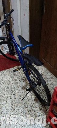 দুরন্ত বাইসাইকেল