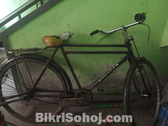 Phoenix cycle