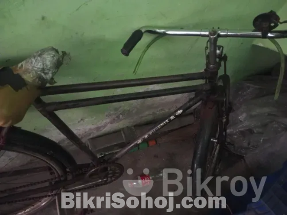 Phoenix cycle