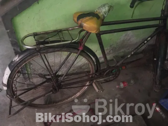 Phoenix cycle