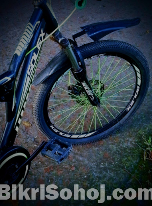 Bicycle with disc brake (nongear)