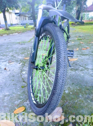 Bicycle with disc brake (nongear)