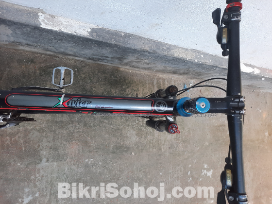 Xavier 1904 Alloy cycle
