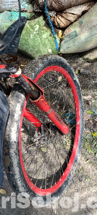Ralelgh gear cycle