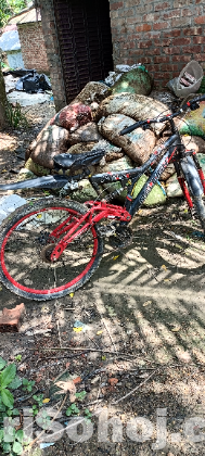 Ralelgh gear cycle