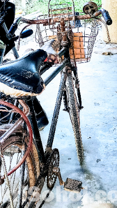 Phoenix Bicycle