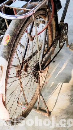 Phoenix Bicycle