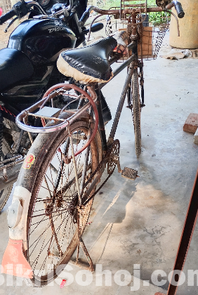 Phoenix Bicycle