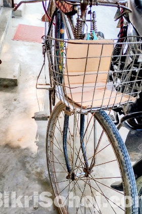 Phoenix Bicycle