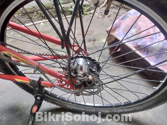 Bicycles with Motor & Lithium Ion batteries