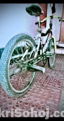 Cycle