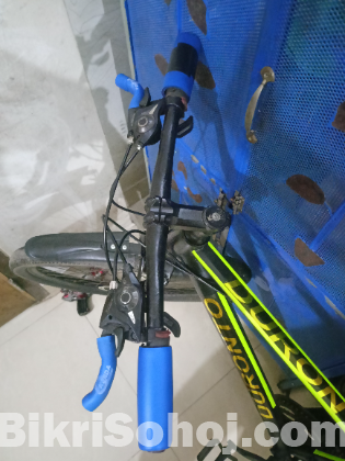 Duronto cycle