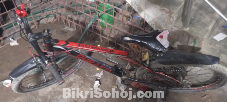 Duronto Saikel