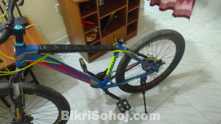 Phoenix Argus cycle sell hobe