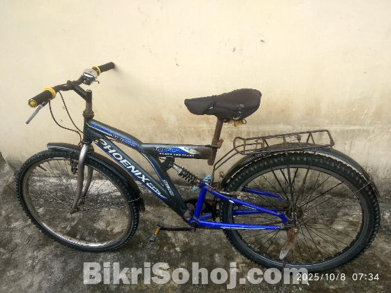 একটি আকর্ষণীয় Phoenix  সাইকেল