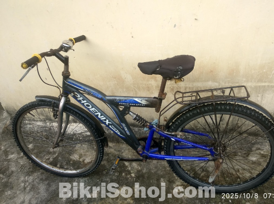 একটি আকর্ষণীয় Phoenix  সাইকেল
