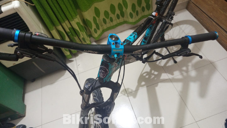 Phonix cycle