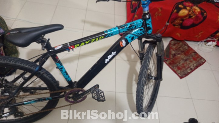 Phonix cycle
