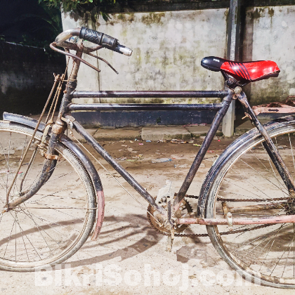ফুল রানিং সাইকেল