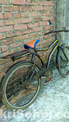 Old sycle