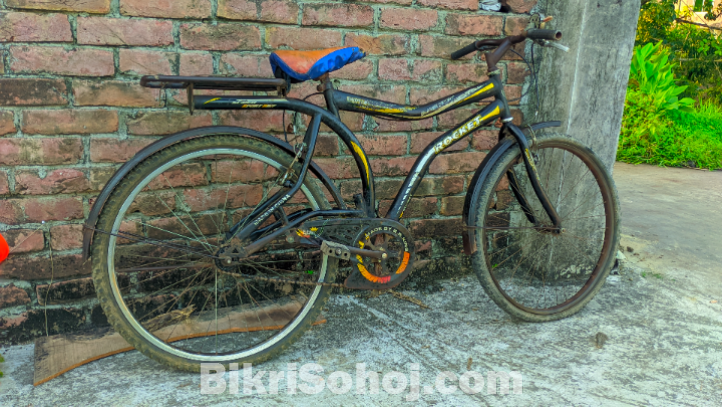 Old sycle