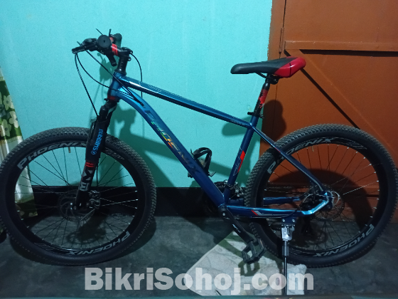 Phoenix cycle