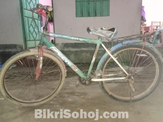 Cycle