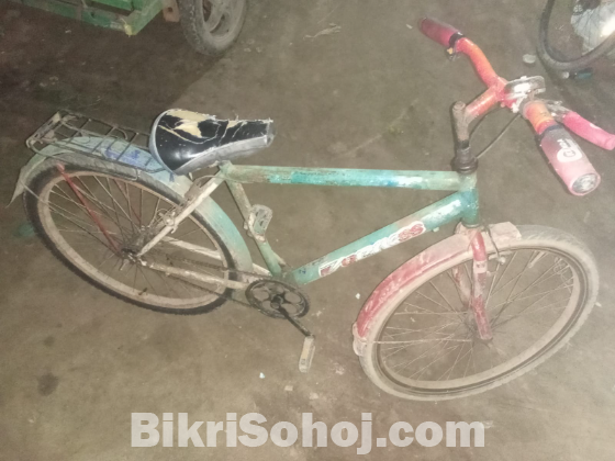 Cycle
