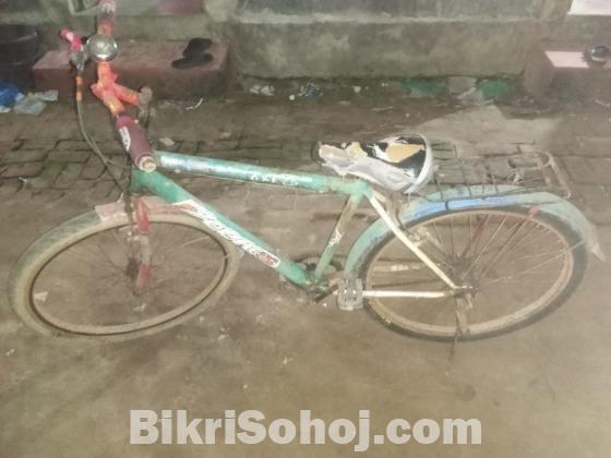 Cycle
