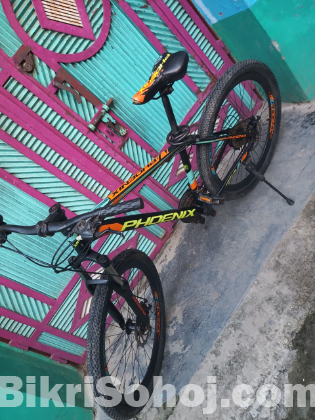 Phoenix argus, Full body aluminum,MTB mountain