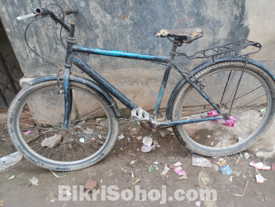 দাইমন