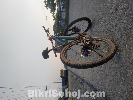 Avon tx stunt mood modified cycle