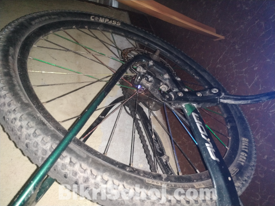 Avon tx stunt mood modified cycle