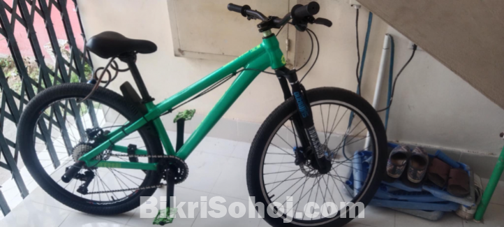 Boarce sun 2.0 costom made cycle