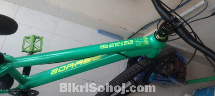 Boarce sun 2.0 costom made cycle