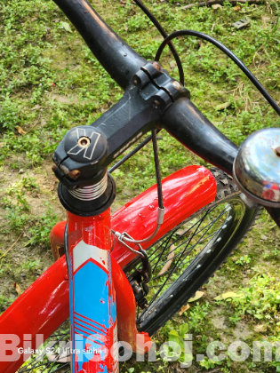 Duranta MJB-07 Micycle 1 Speed 24'