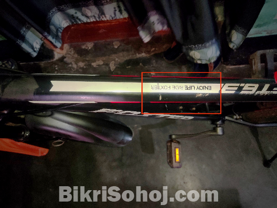 Foxter Fresh Bicycle