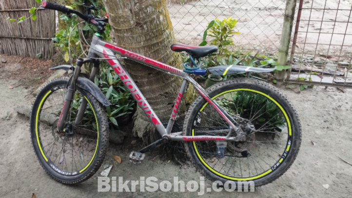 এলো বডি একটি সাইকেল