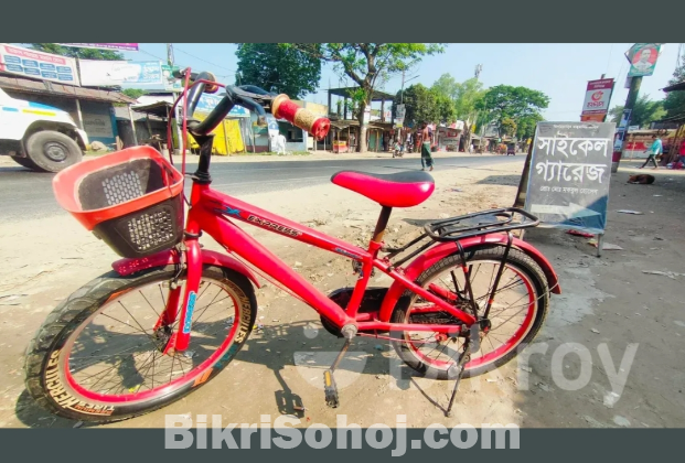 রেঞ্জার ২০ সাইকেল