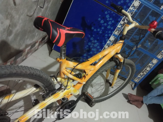 Rockrider Mountain Bicycle 26