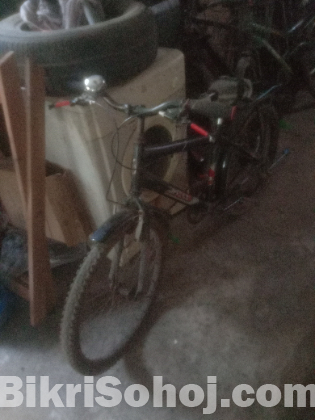 riflex brand এর নন গিয়ার সাইকেল