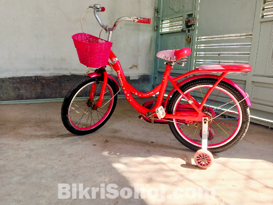 Phoenix Kids Bicycle for sell