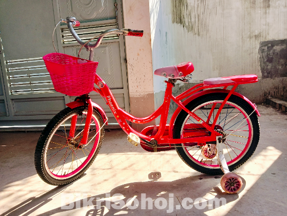 Phoenix Kids Bicycle for sell