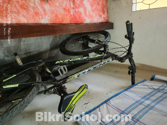 ফিনিক্স বাইসাইকেল